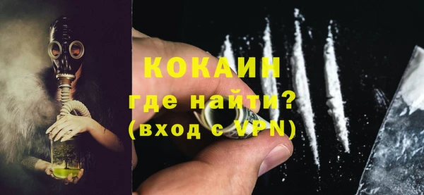 дживик Пересвет