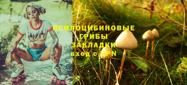 прущий лед Осинники
