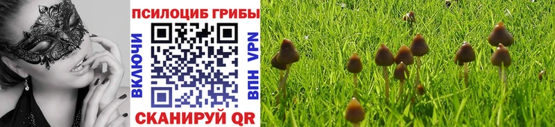mega ТОР цена наркотик Алупка Псилоцибиновые грибы Magic Shrooms